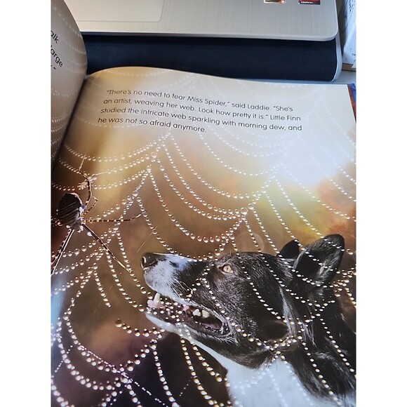 Brave Little Finn by John Churchman and Jennifer Churchman (2016, Picture Book) - Picture 9 of 9